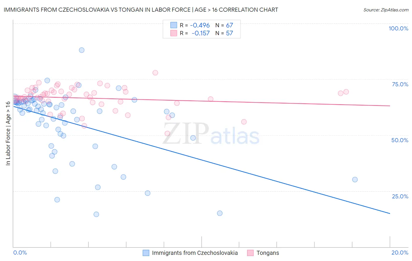 Immigrants from Czechoslovakia vs Tongan In Labor Force | Age > 16