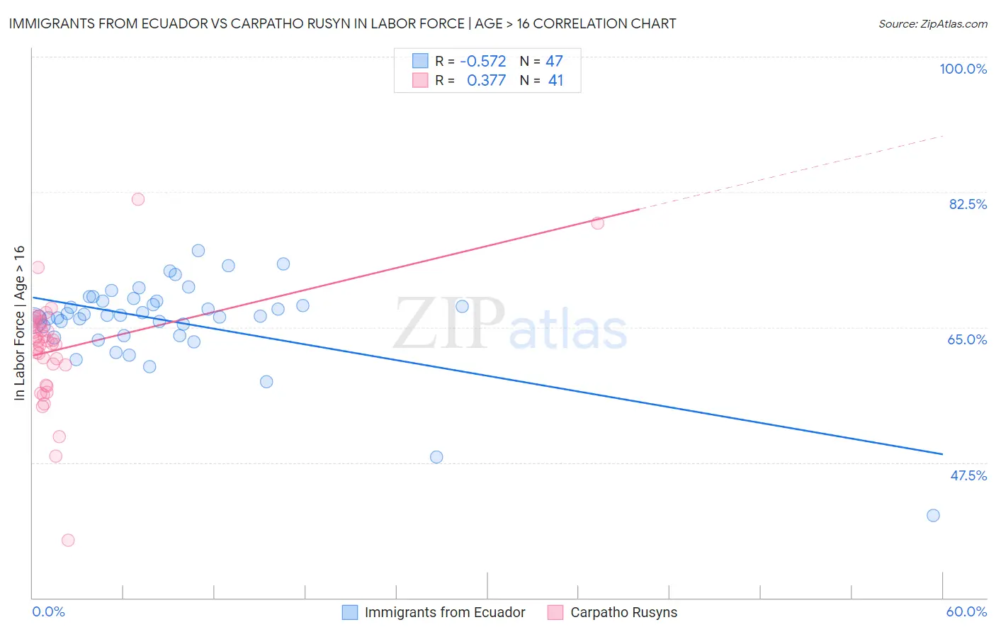 Immigrants from Ecuador vs Carpatho Rusyn In Labor Force | Age > 16