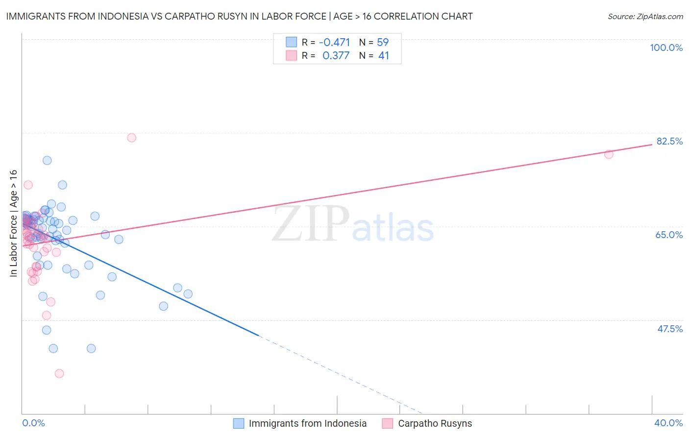 Immigrants from Indonesia vs Carpatho Rusyn In Labor Force | Age > 16