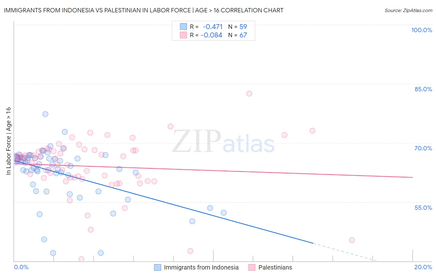 Immigrants from Indonesia vs Palestinian In Labor Force | Age > 16