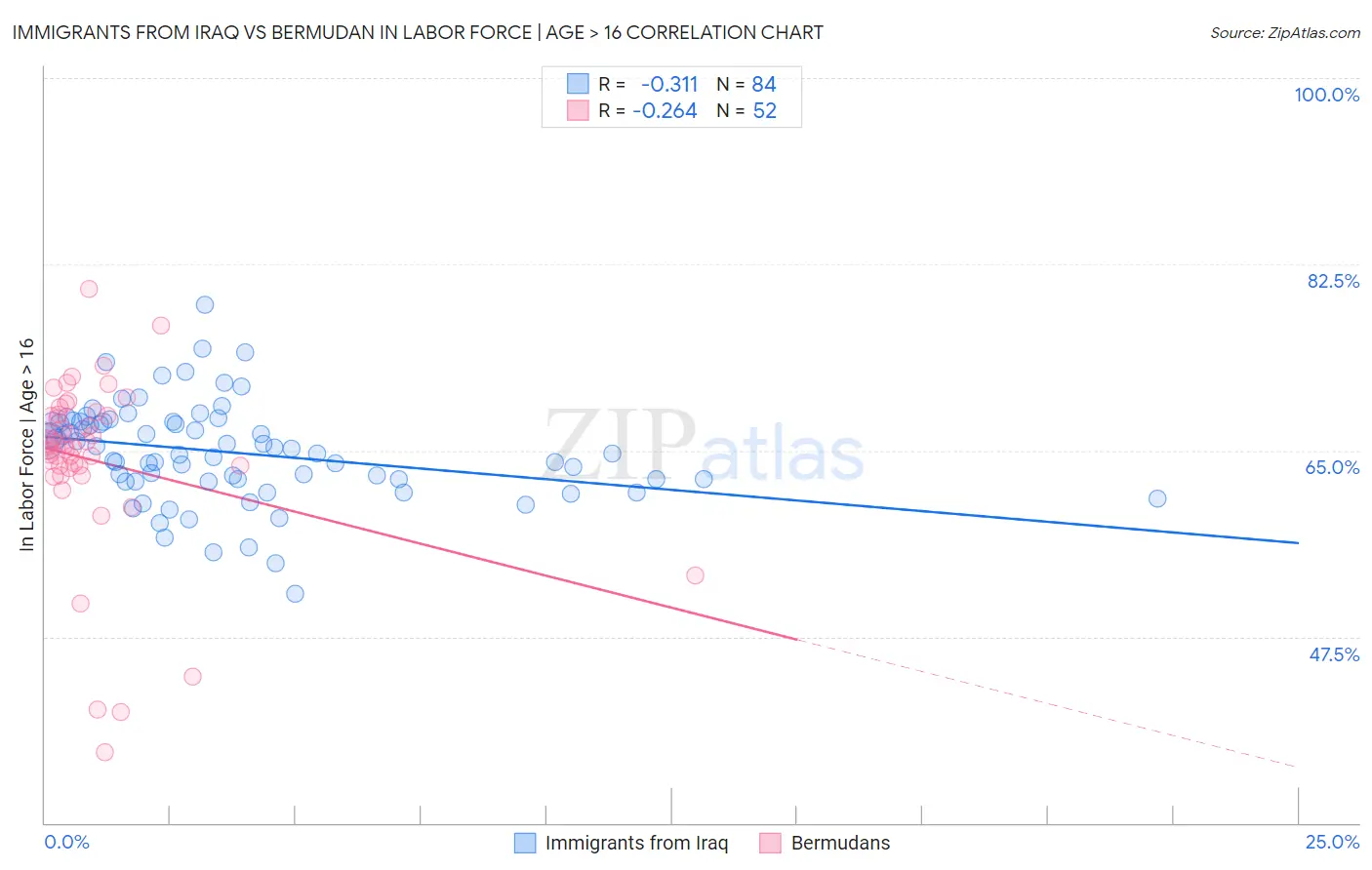 Immigrants from Iraq vs Bermudan In Labor Force | Age > 16