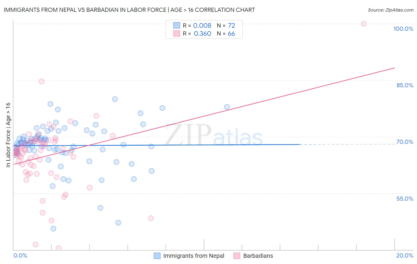 Immigrants from Nepal vs Barbadian In Labor Force | Age > 16