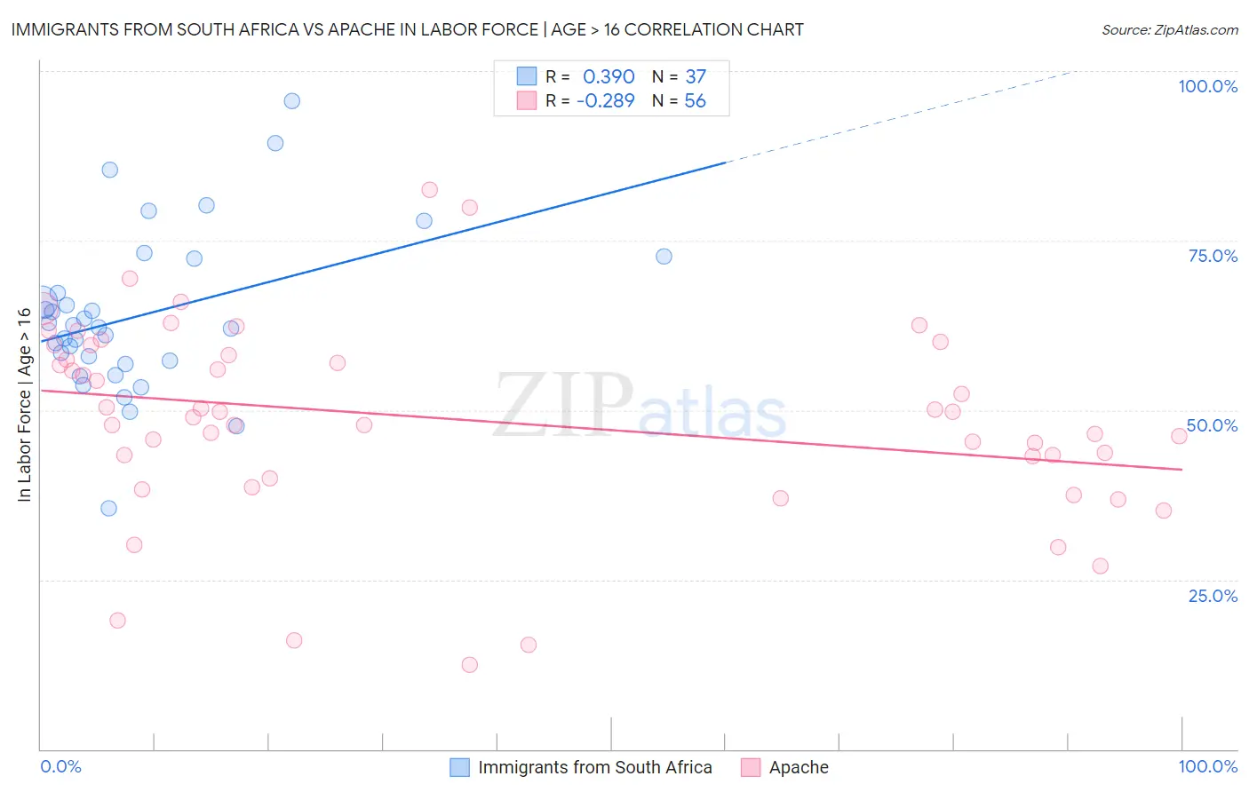 Immigrants from South Africa vs Apache In Labor Force | Age > 16
