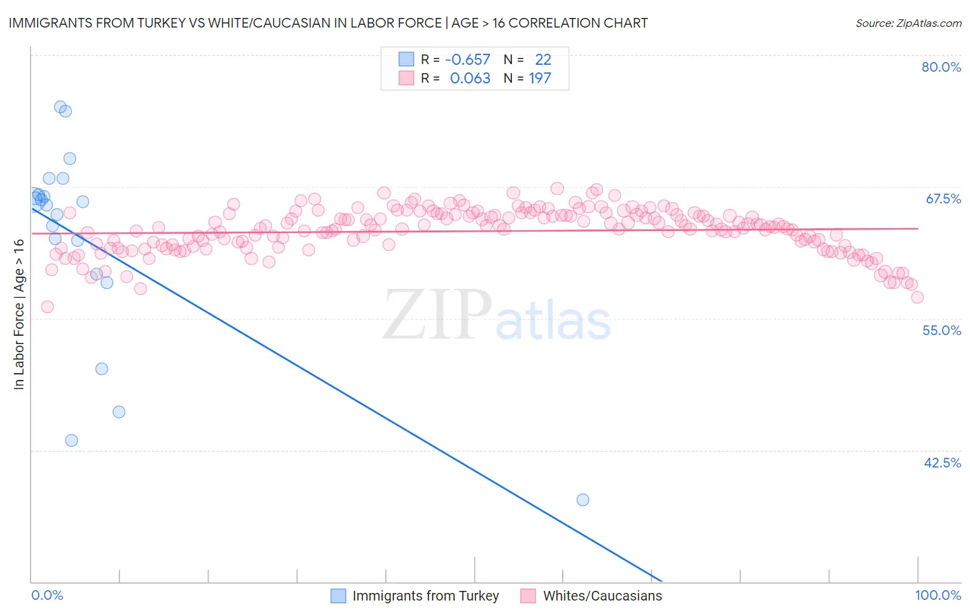 Immigrants from Turkey vs White/Caucasian In Labor Force | Age > 16