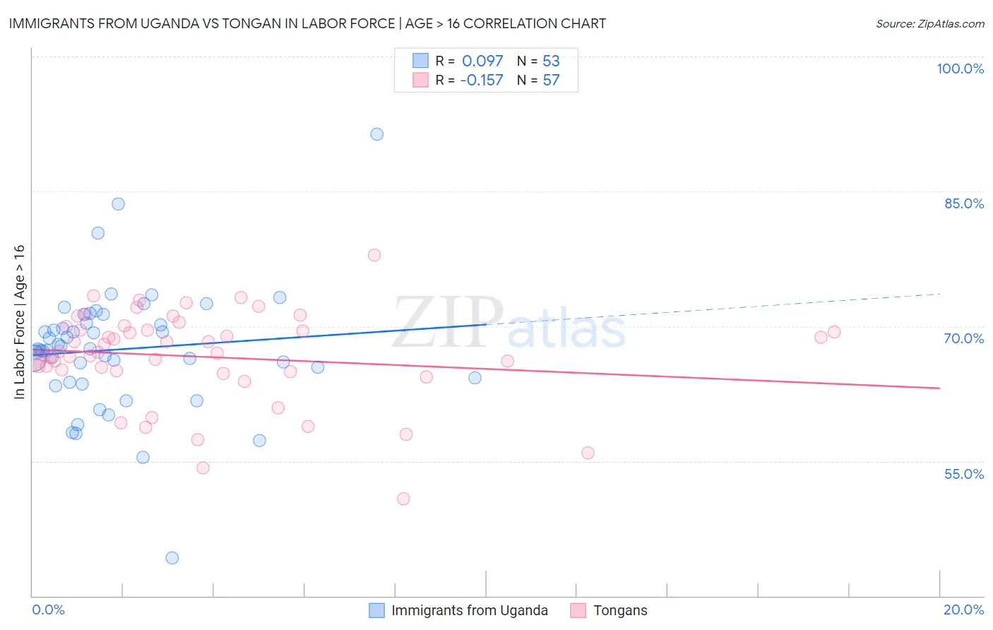 Immigrants from Uganda vs Tongan In Labor Force | Age > 16