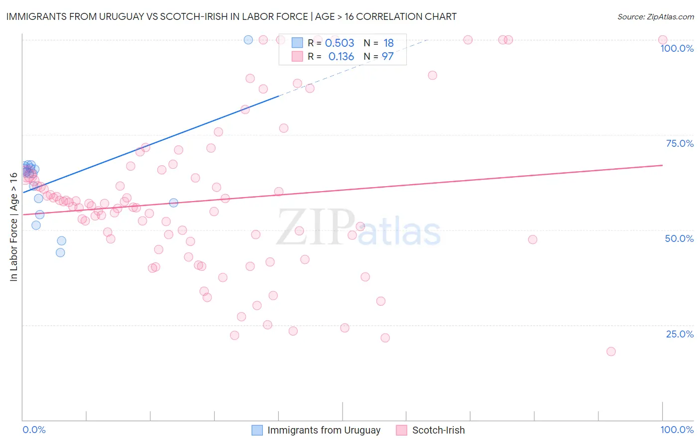 Immigrants from Uruguay vs Scotch-Irish In Labor Force | Age > 16