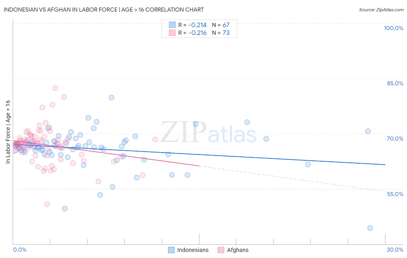 Indonesian vs Afghan In Labor Force | Age > 16