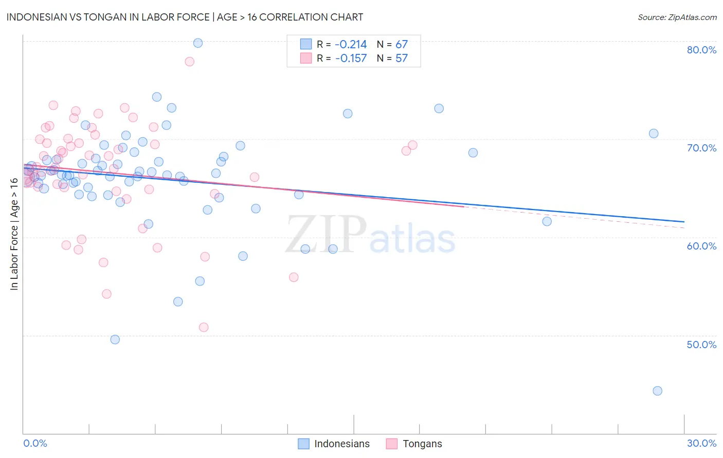 Indonesian vs Tongan In Labor Force | Age > 16