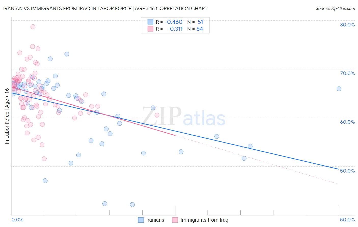 Iranian vs Immigrants from Iraq In Labor Force | Age > 16