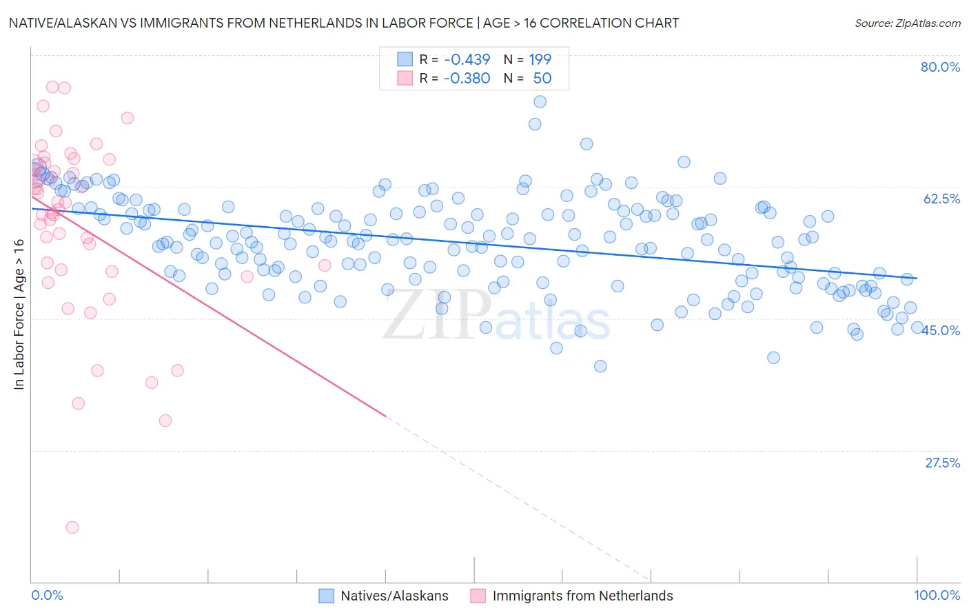 Native/Alaskan vs Immigrants from Netherlands In Labor Force | Age > 16