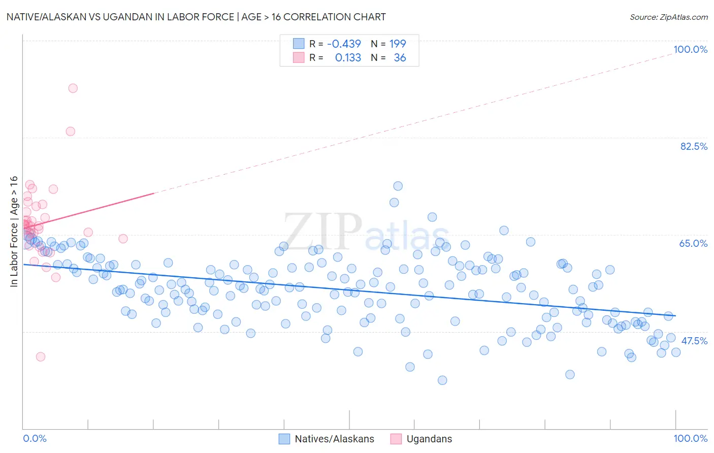 Native/Alaskan vs Ugandan In Labor Force | Age > 16