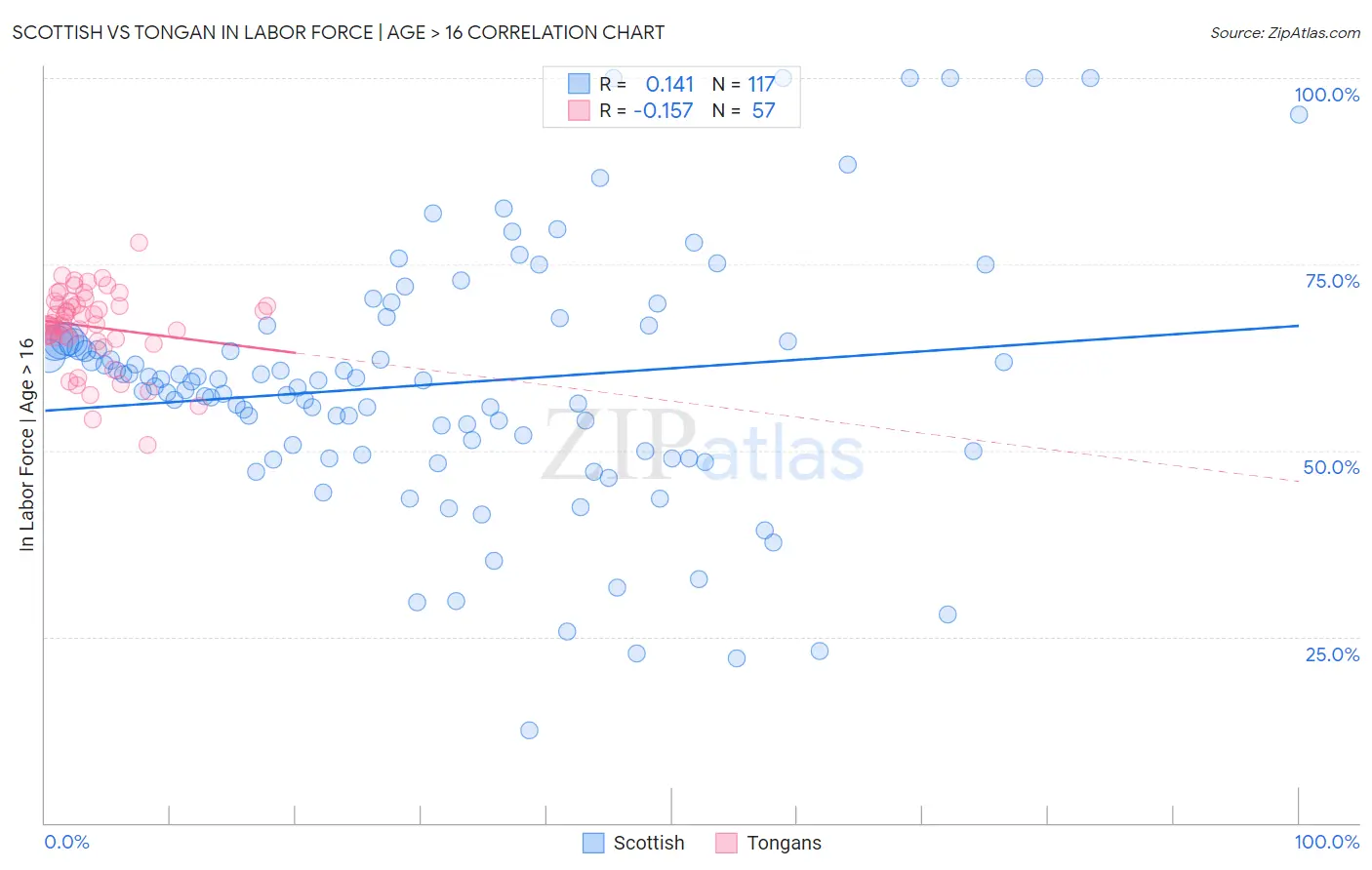 Scottish vs Tongan In Labor Force | Age > 16