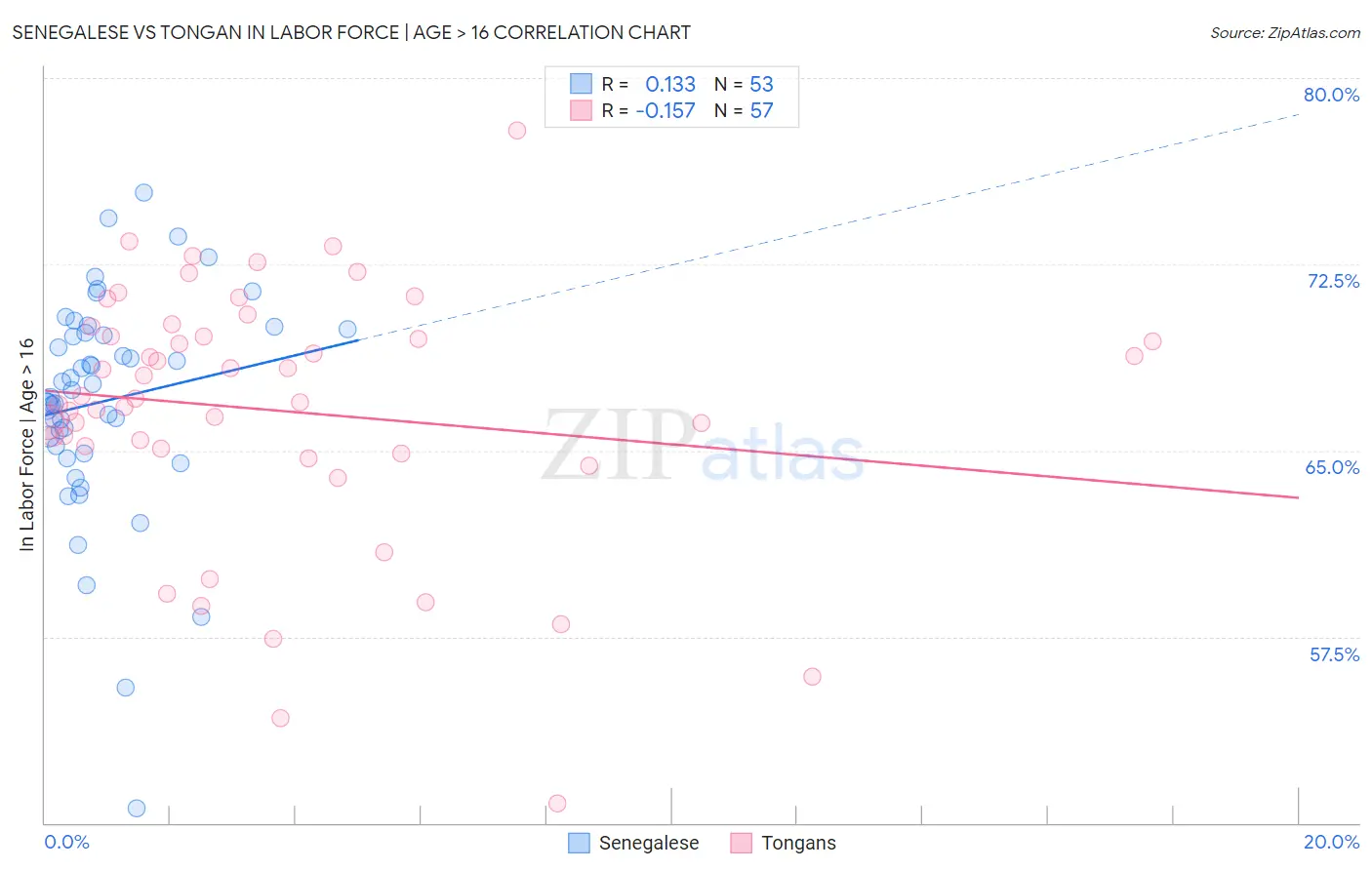 Senegalese vs Tongan In Labor Force | Age > 16