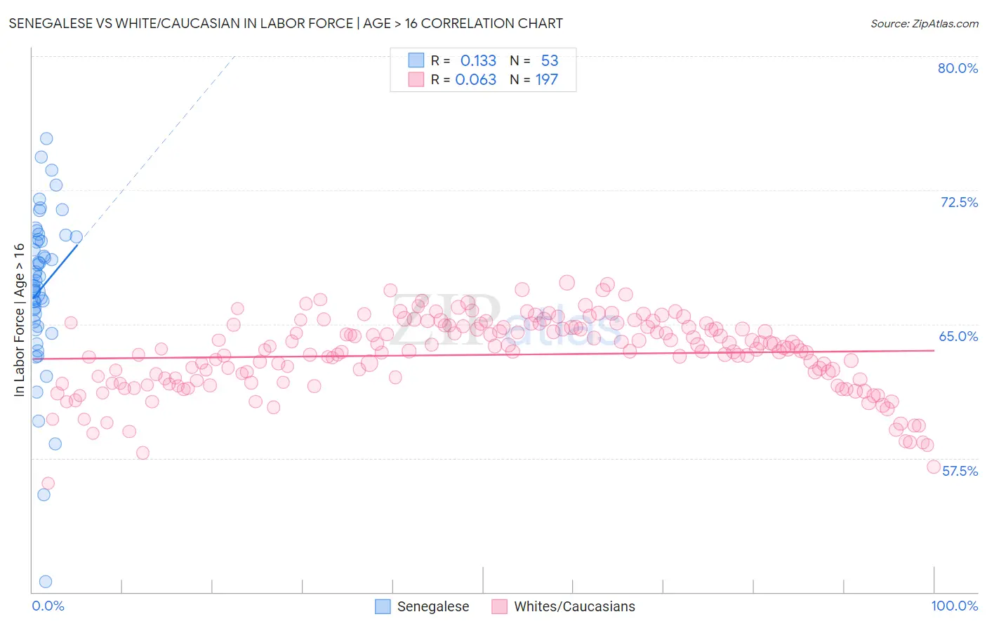 Senegalese vs White/Caucasian In Labor Force | Age > 16