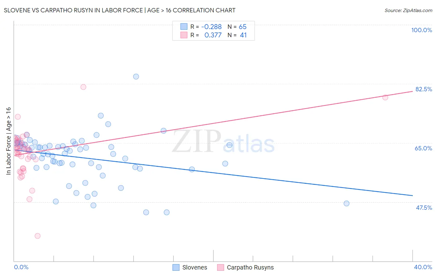 Slovene vs Carpatho Rusyn In Labor Force | Age > 16