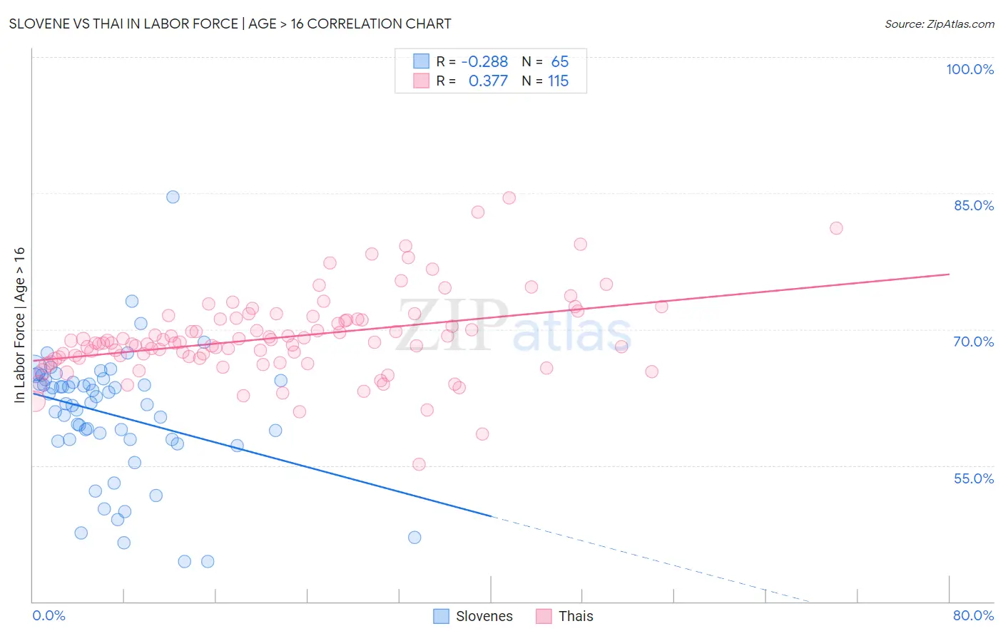 Slovene vs Thai In Labor Force | Age > 16