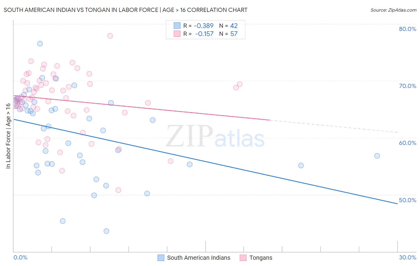 South American Indian vs Tongan In Labor Force | Age > 16