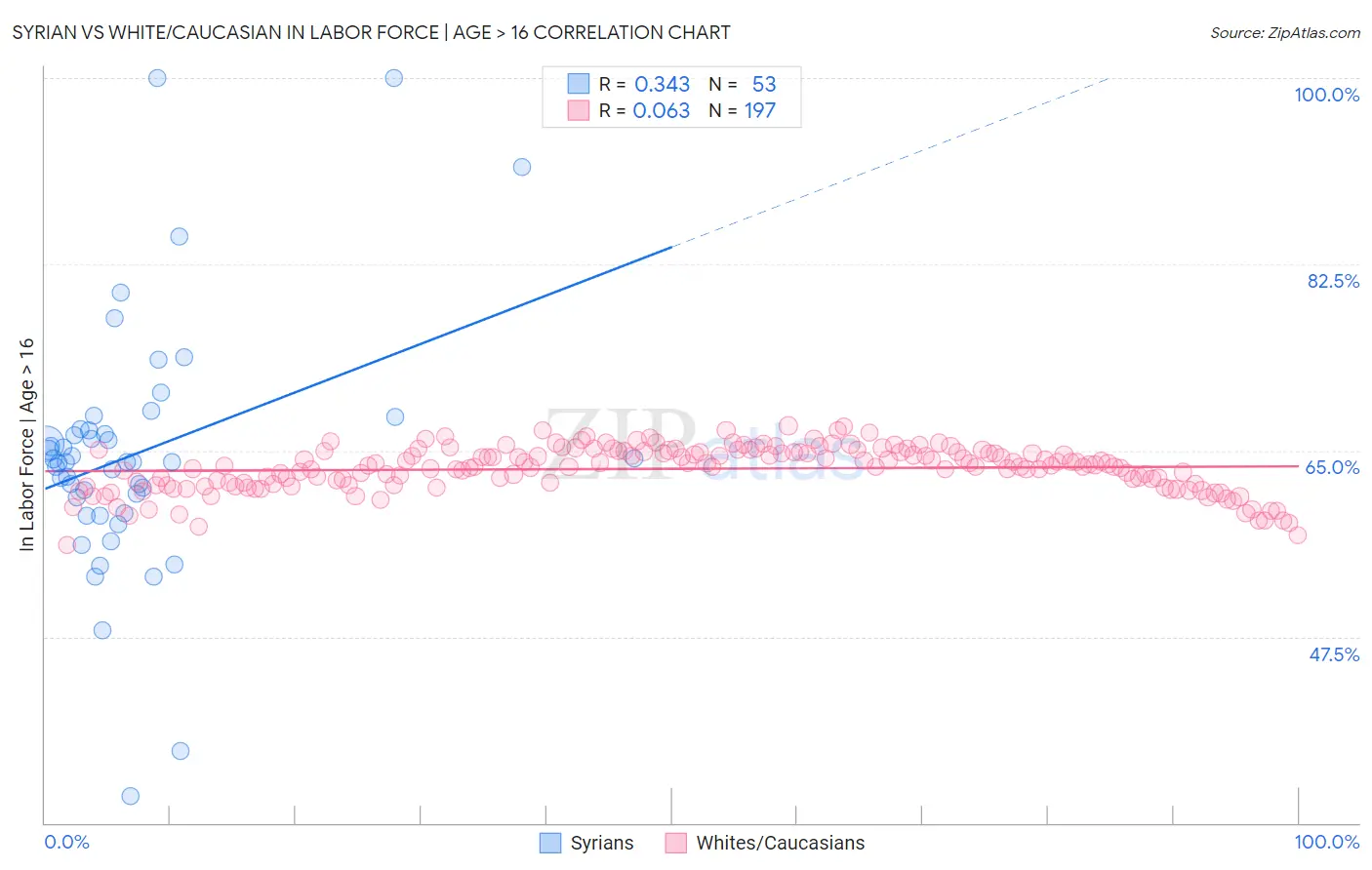 Syrian vs White/Caucasian In Labor Force | Age > 16