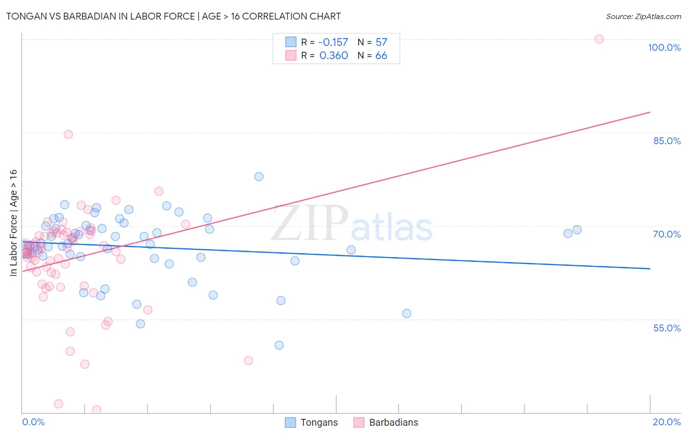 Tongan vs Barbadian In Labor Force | Age > 16