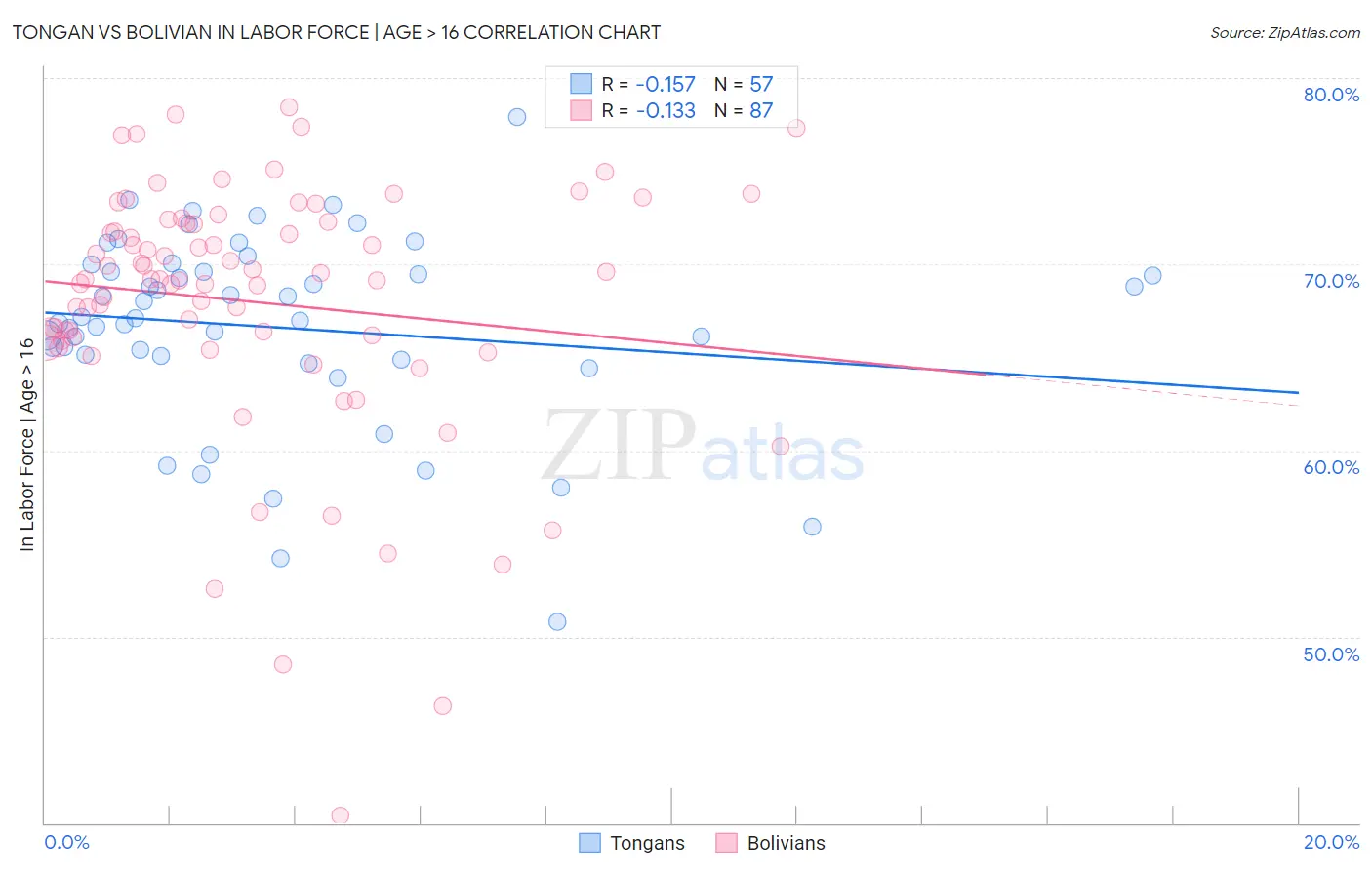 Tongan vs Bolivian In Labor Force | Age > 16