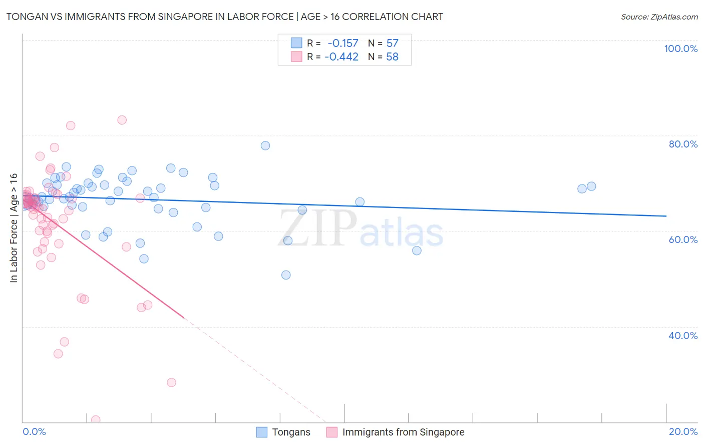 Tongan vs Immigrants from Singapore In Labor Force | Age > 16