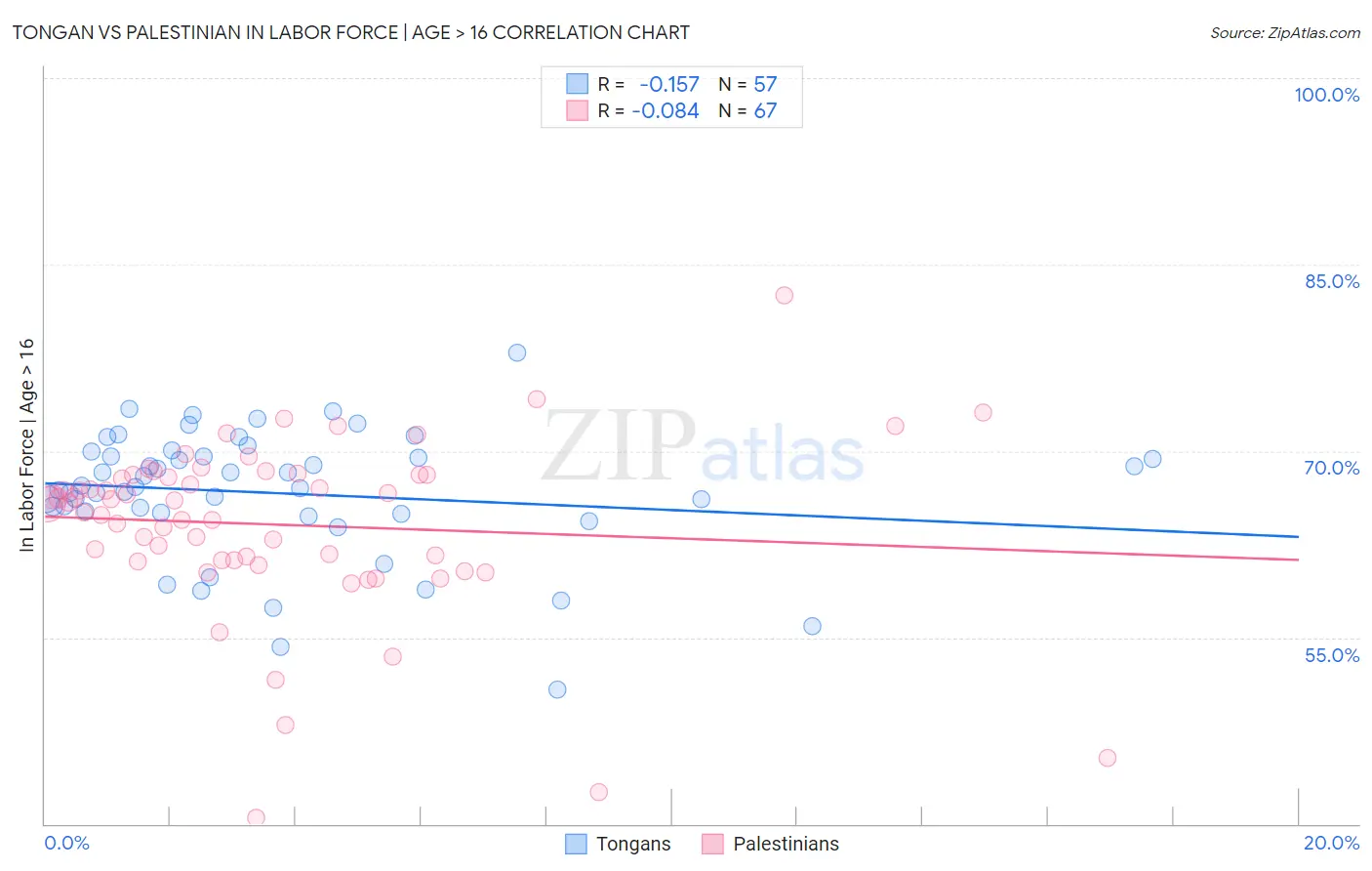 Tongan vs Palestinian In Labor Force | Age > 16