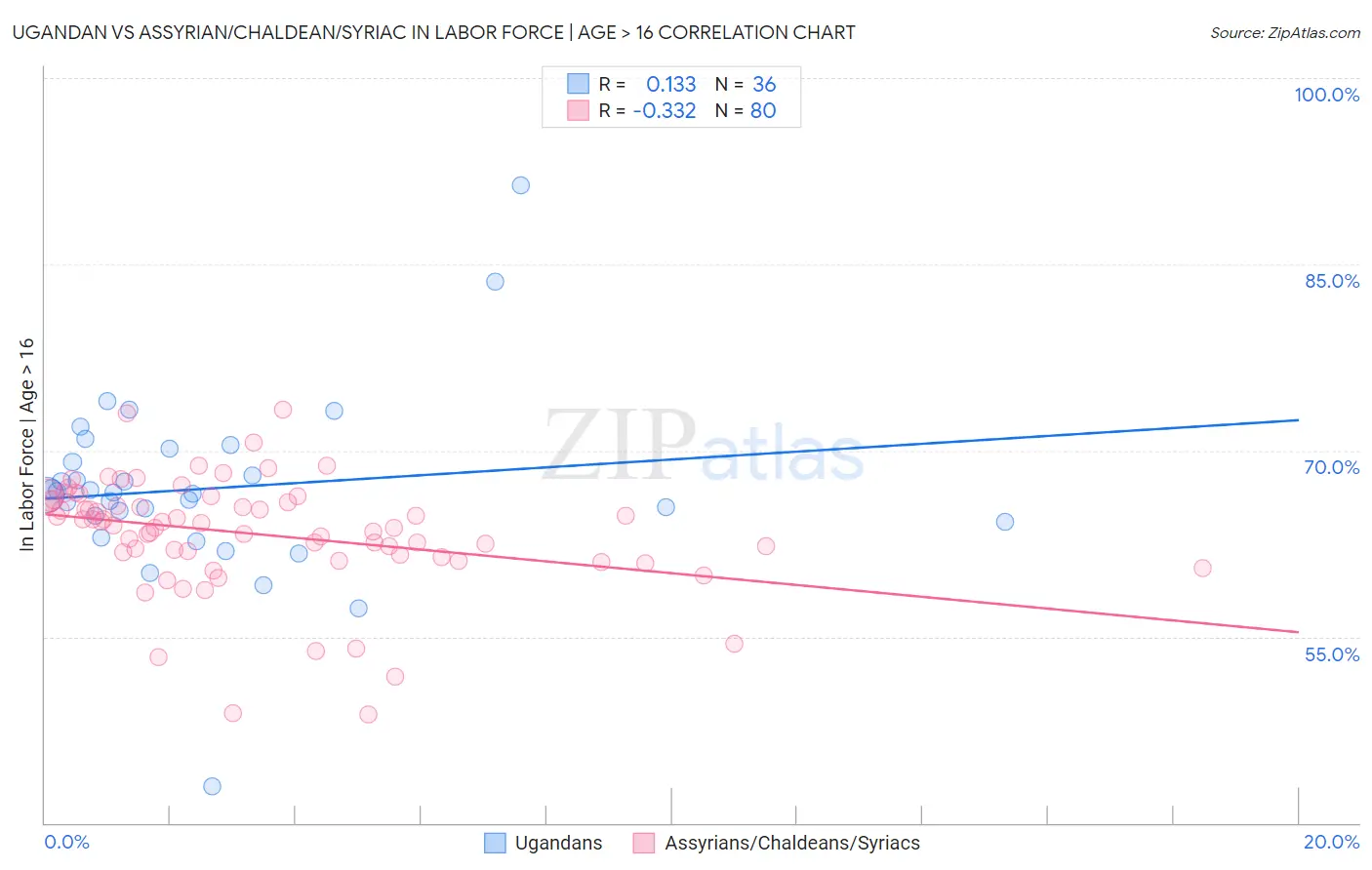 Ugandan vs Assyrian/Chaldean/Syriac In Labor Force | Age > 16