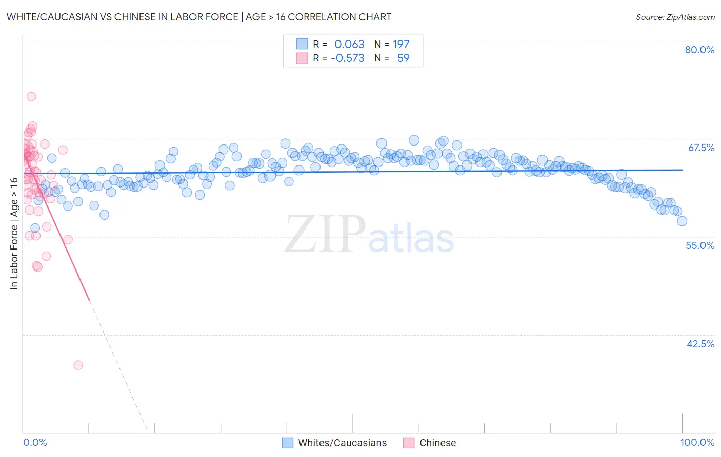 White/Caucasian vs Chinese In Labor Force | Age > 16