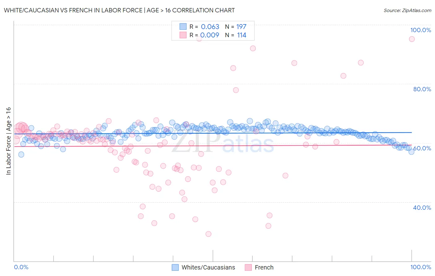 White/Caucasian vs French In Labor Force | Age > 16