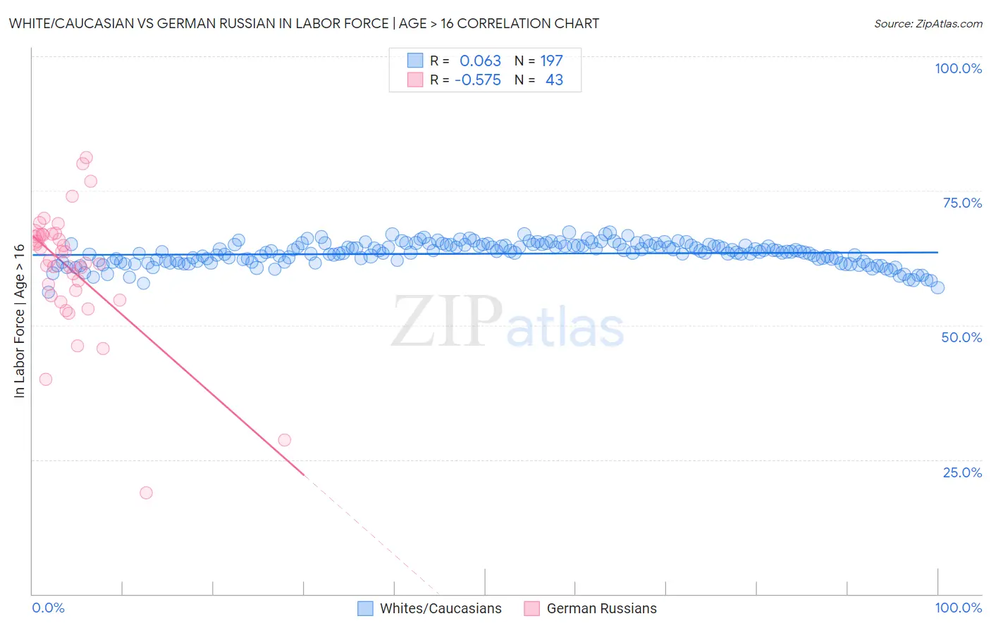 White/Caucasian vs German Russian In Labor Force | Age > 16