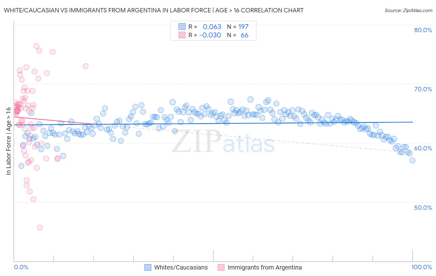 White/Caucasian vs Immigrants from Argentina In Labor Force | Age > 16