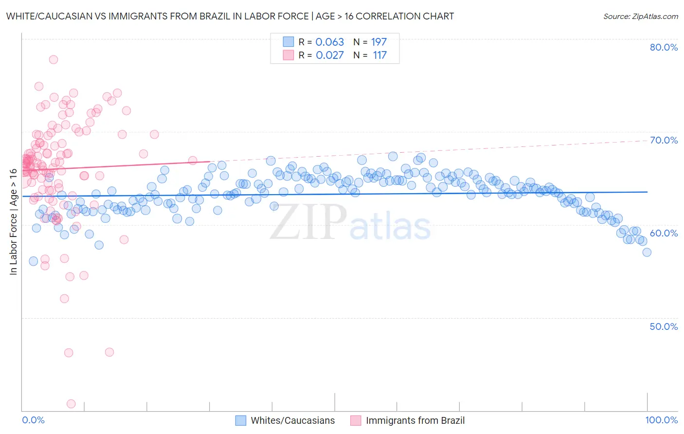 White/Caucasian vs Immigrants from Brazil In Labor Force | Age > 16