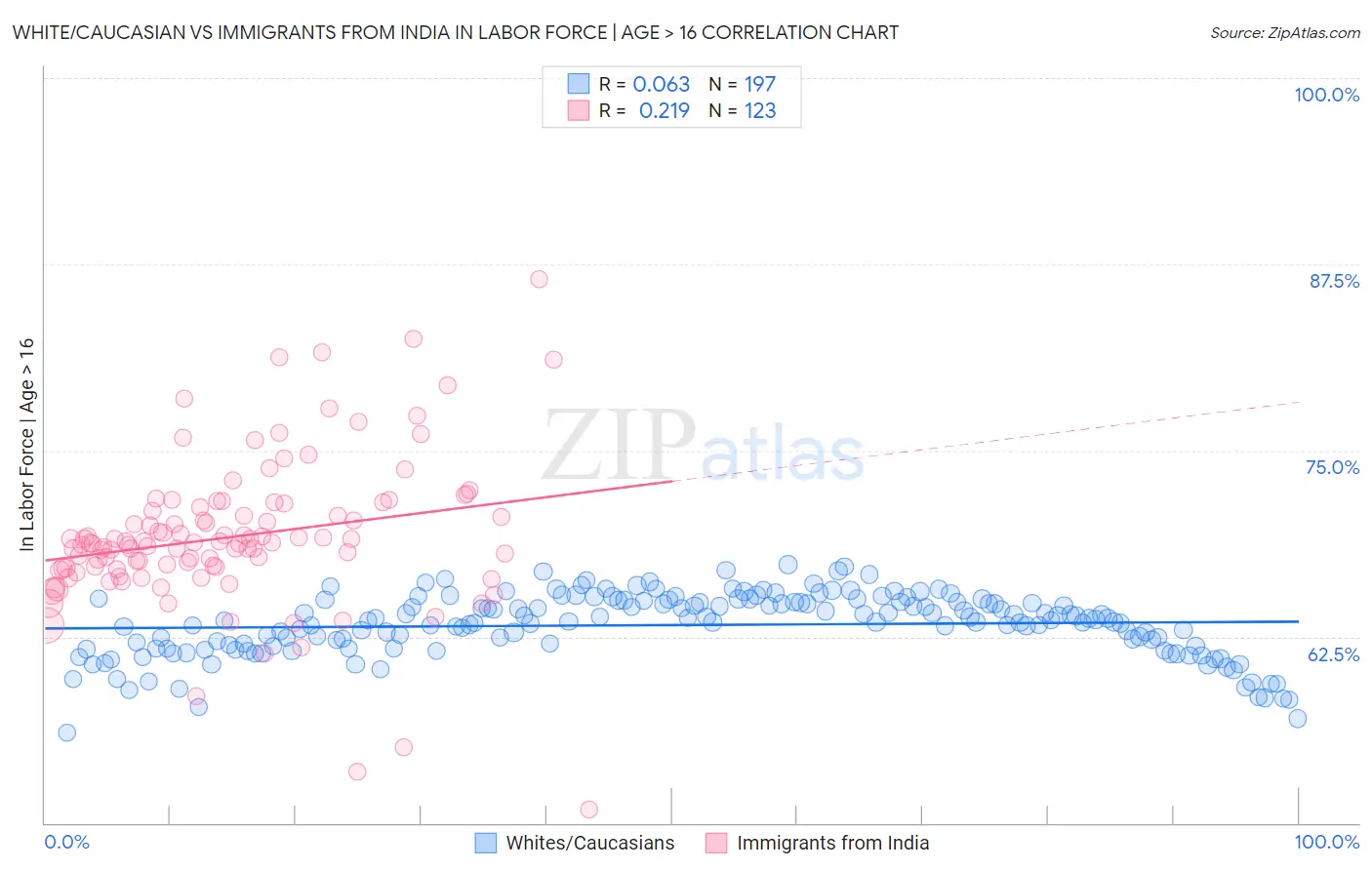 White/Caucasian vs Immigrants from India In Labor Force | Age > 16