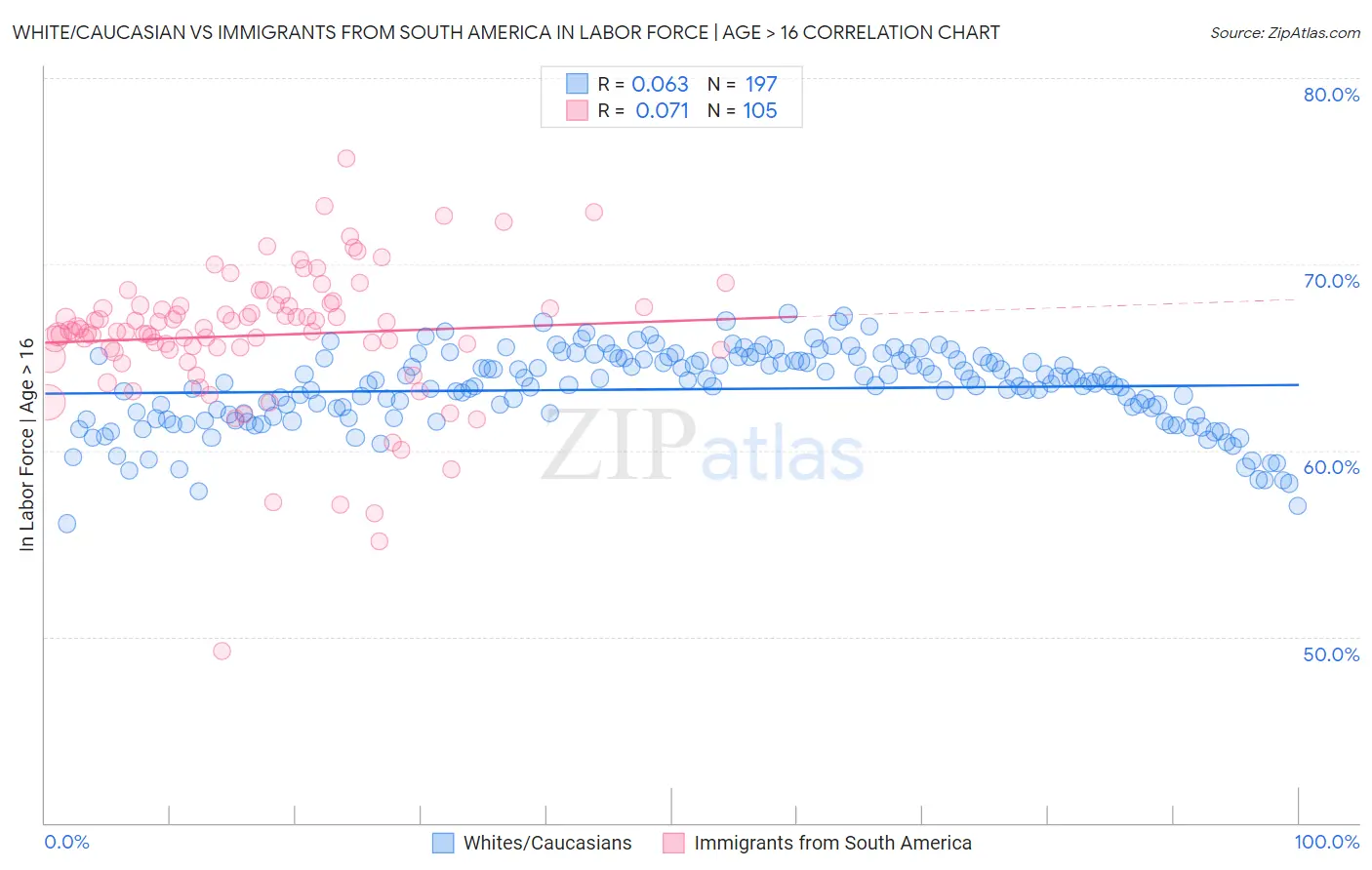 White/Caucasian vs Immigrants from South America In Labor Force | Age > 16