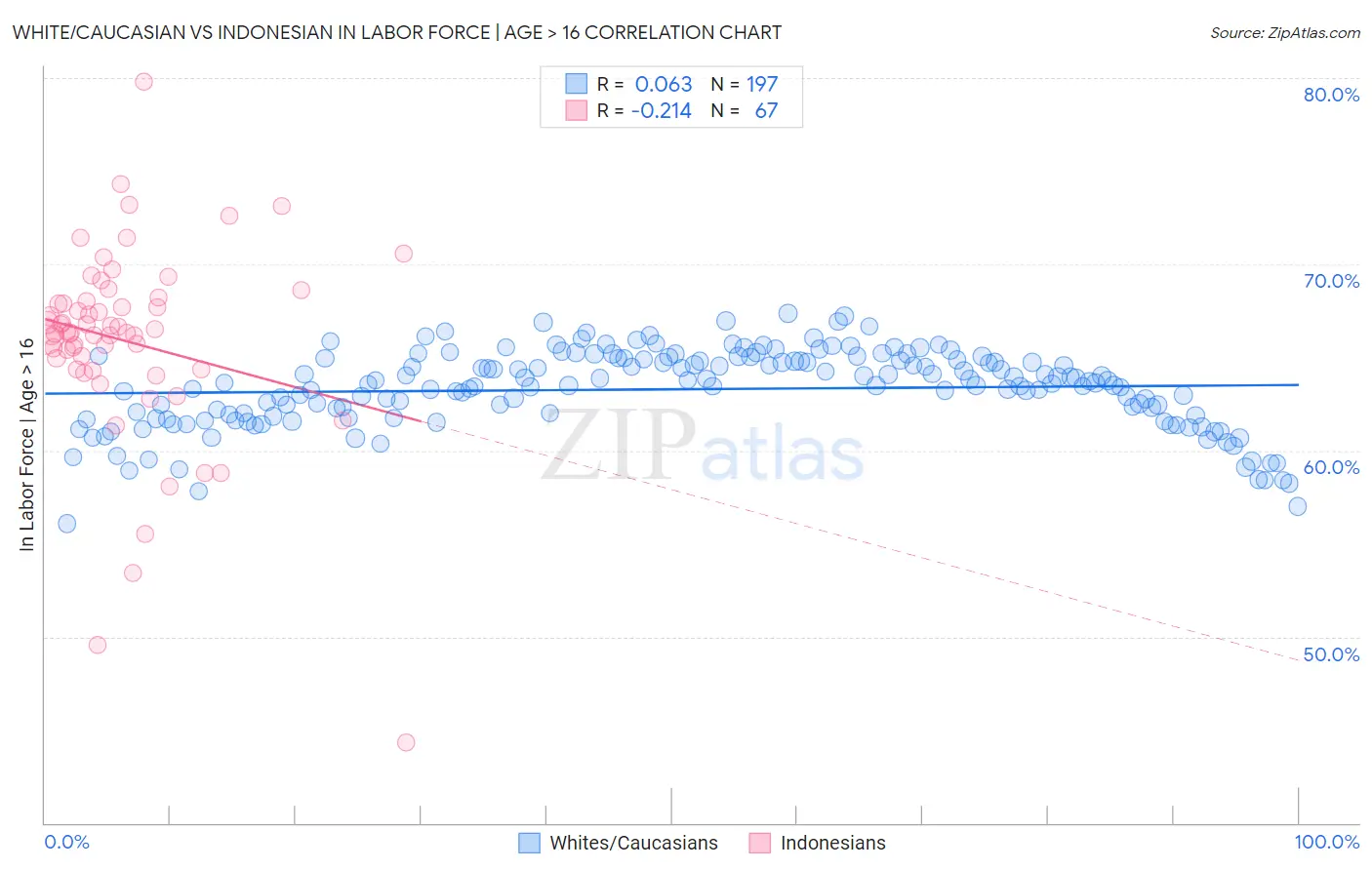 White/Caucasian vs Indonesian In Labor Force | Age > 16