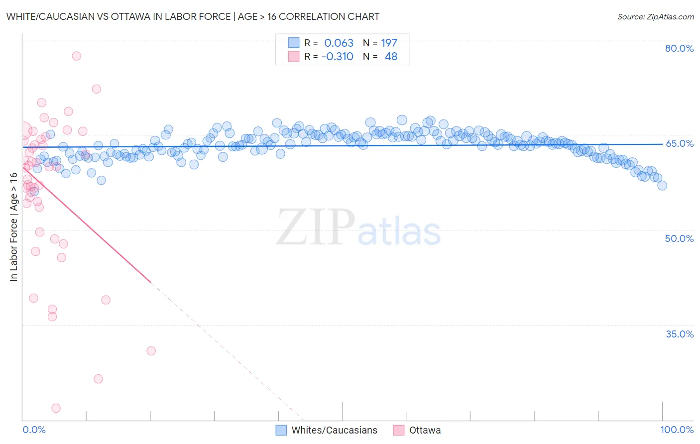 White/Caucasian vs Ottawa In Labor Force | Age > 16