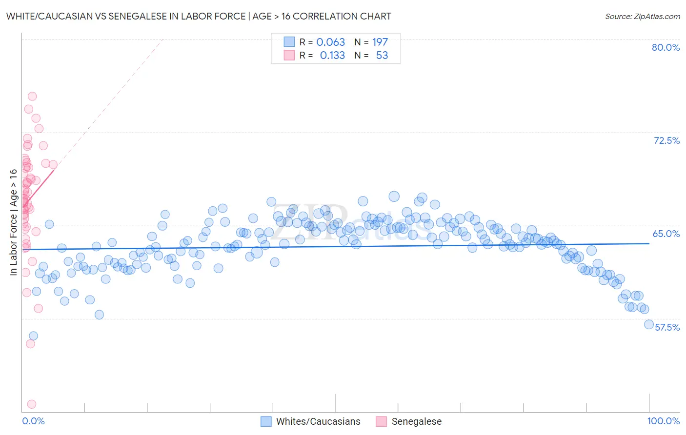 White/Caucasian vs Senegalese In Labor Force | Age > 16