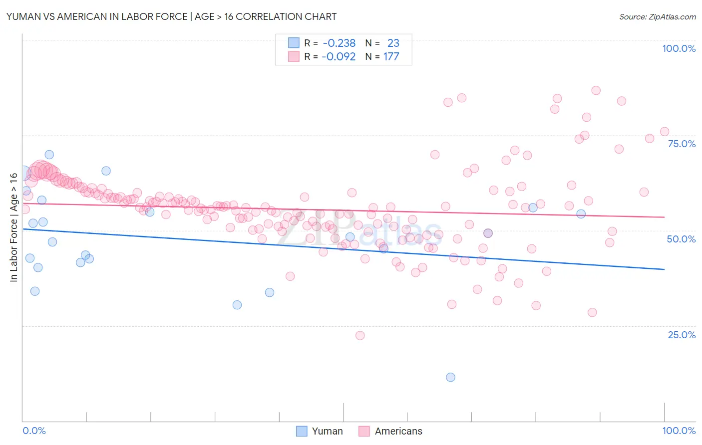 Yuman vs American In Labor Force | Age > 16