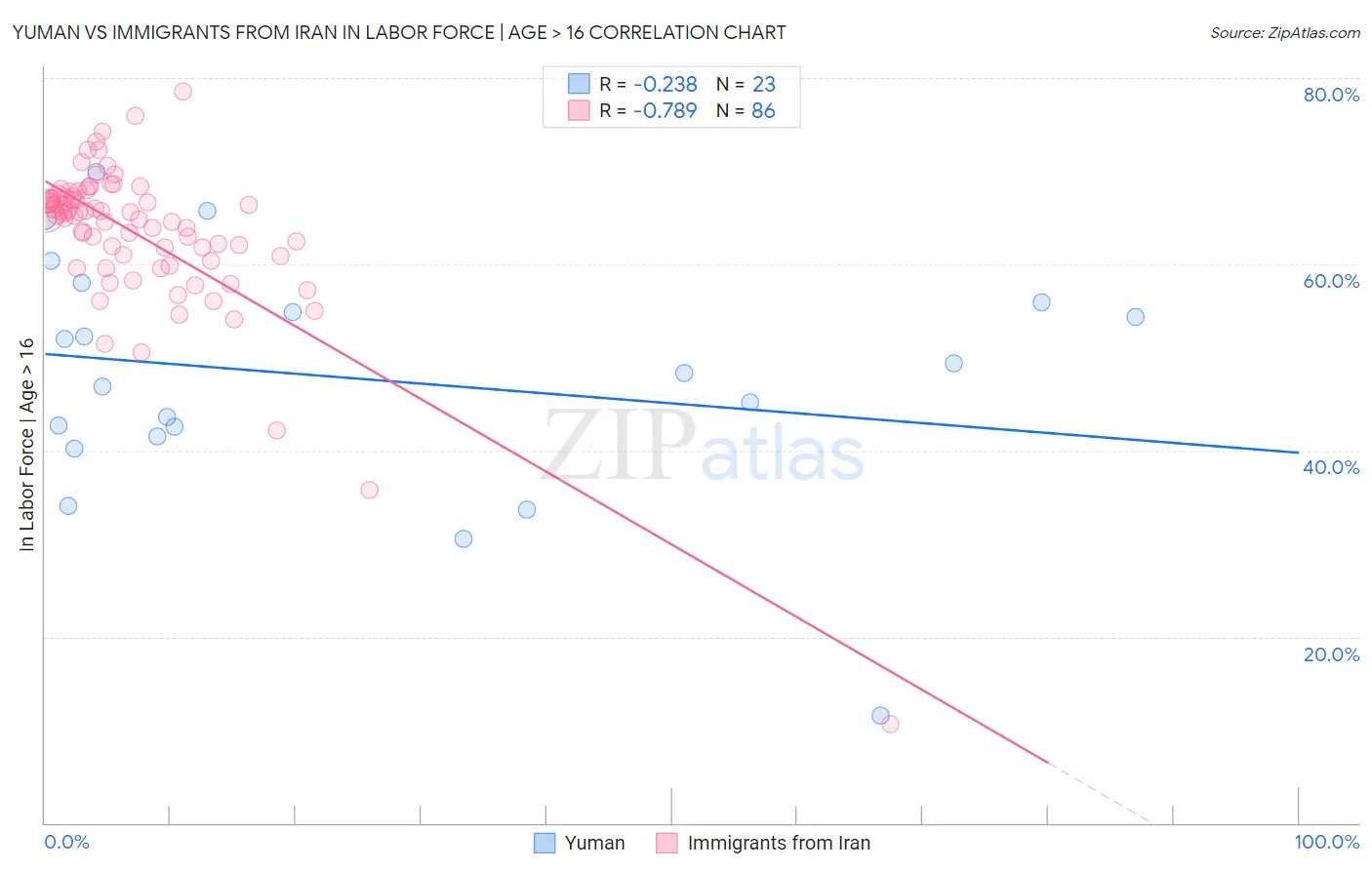 Yuman vs Immigrants from Iran In Labor Force | Age > 16