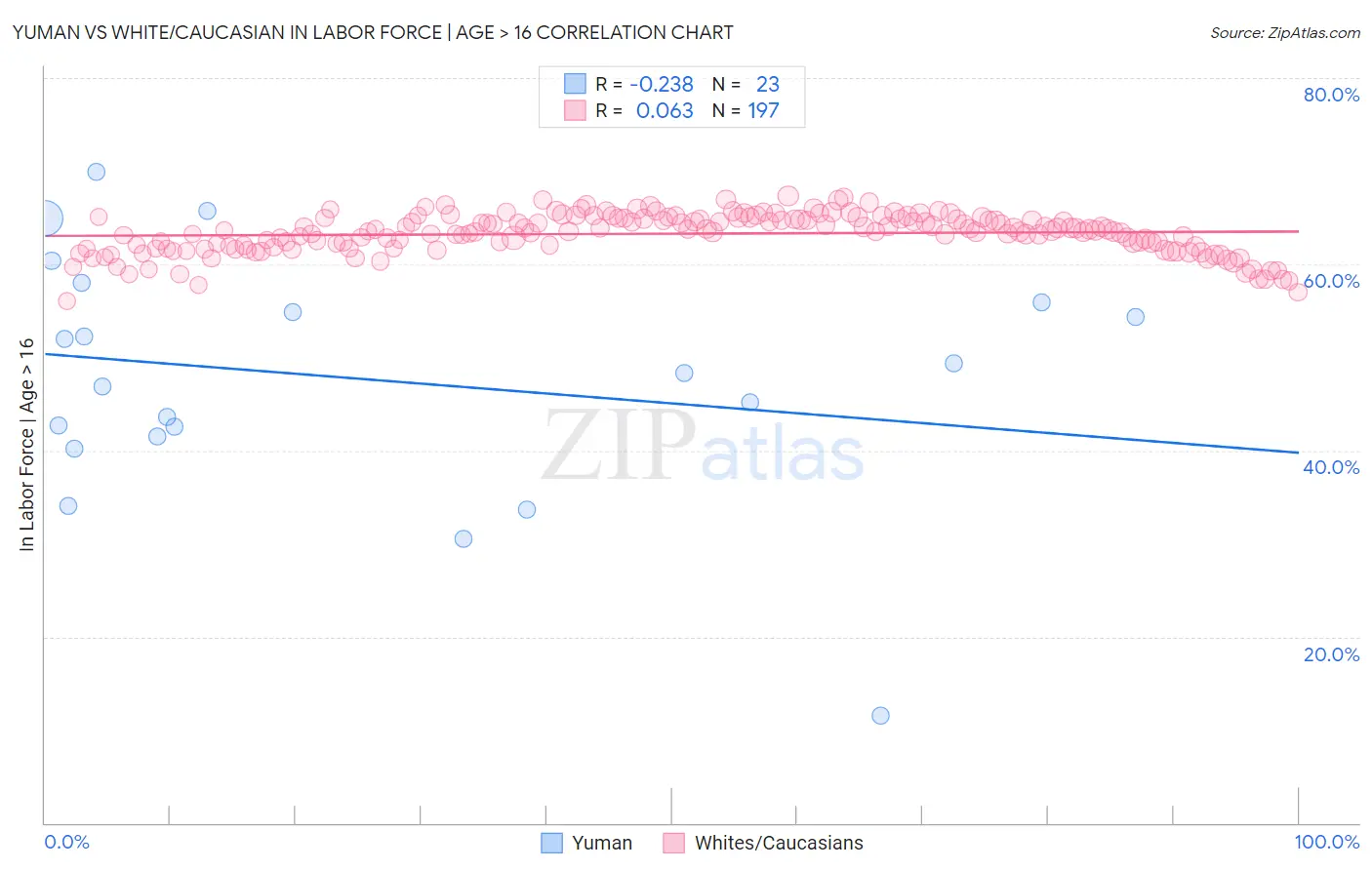 Yuman vs White/Caucasian In Labor Force | Age > 16