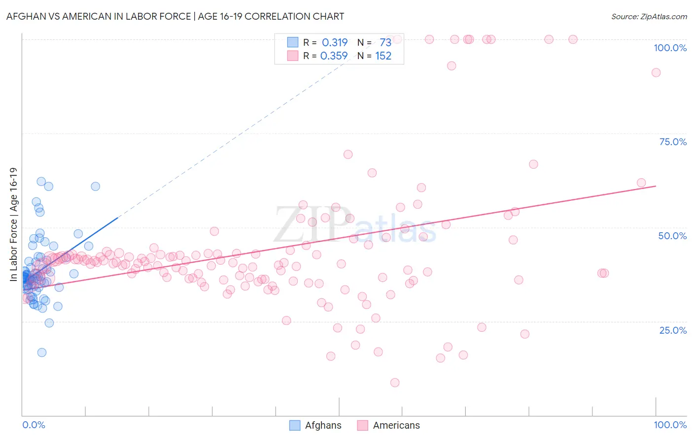 Afghan vs American In Labor Force | Age 16-19