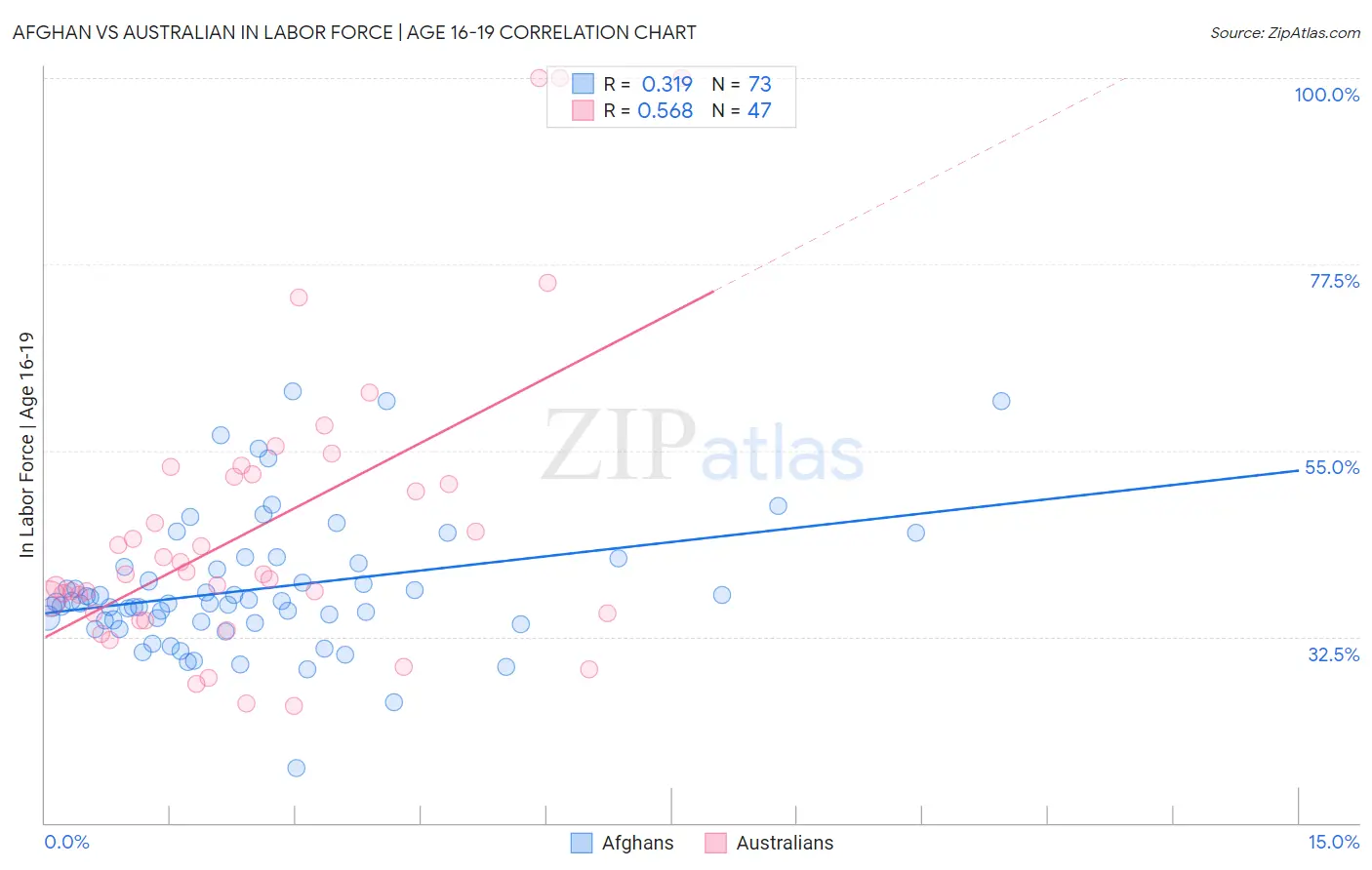 Afghan vs Australian In Labor Force | Age 16-19