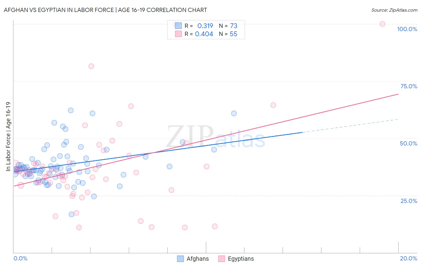 Afghan vs Egyptian In Labor Force | Age 16-19