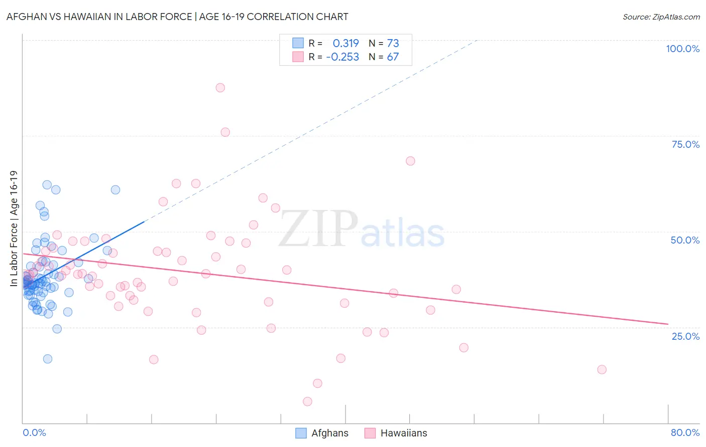 Afghan vs Hawaiian In Labor Force | Age 16-19