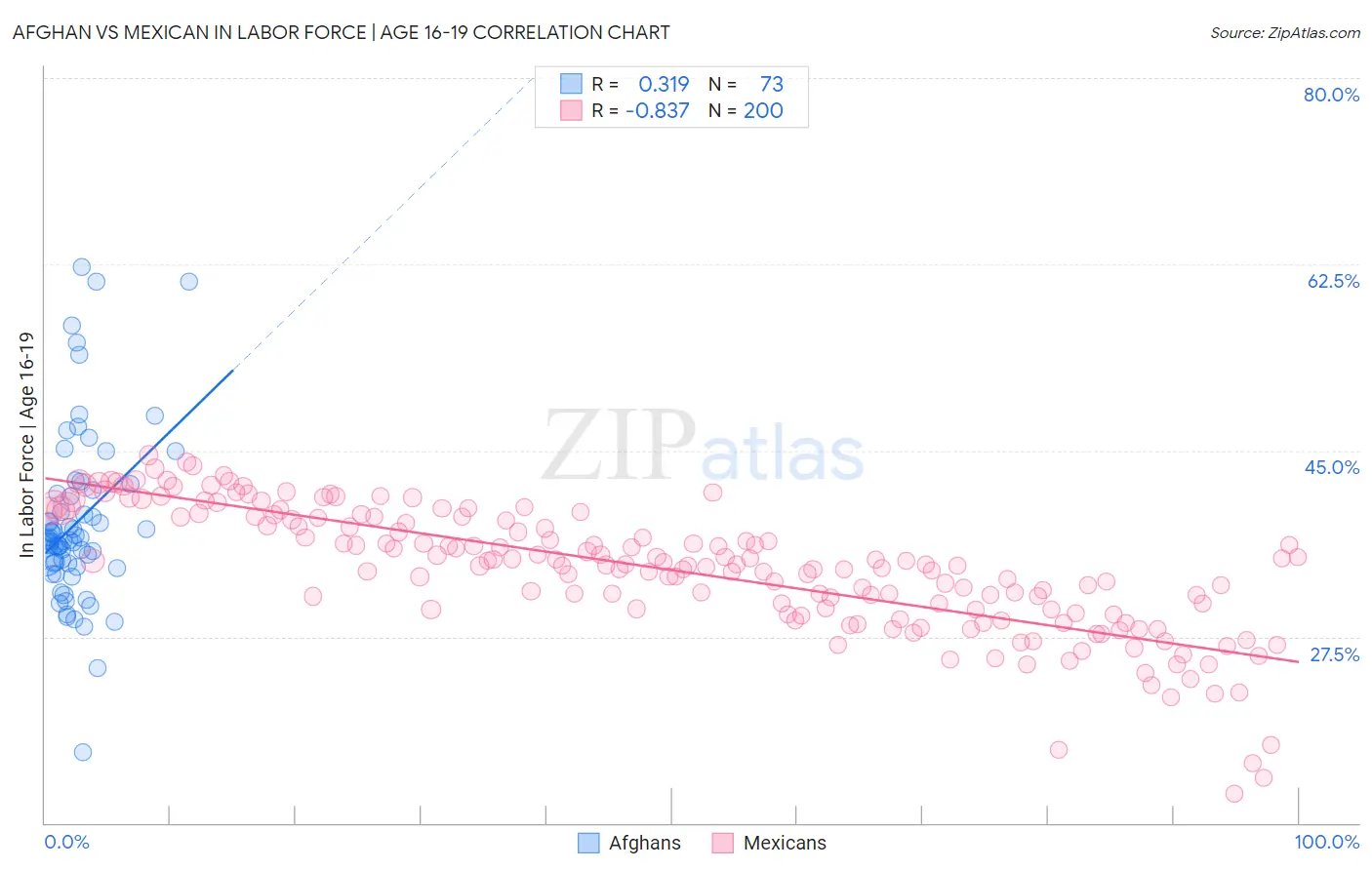 Afghan vs Mexican In Labor Force | Age 16-19