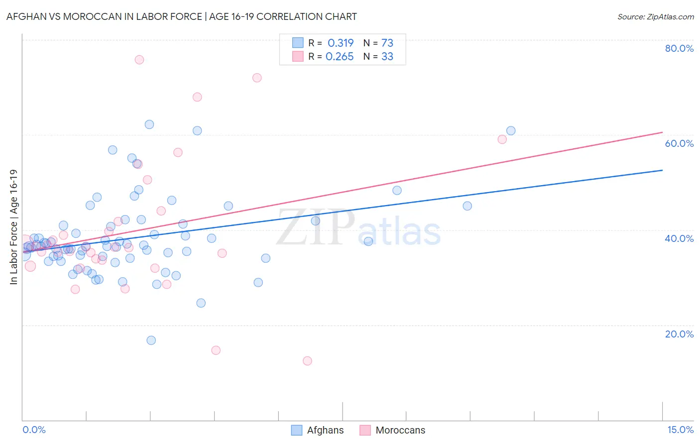 Afghan vs Moroccan In Labor Force | Age 16-19