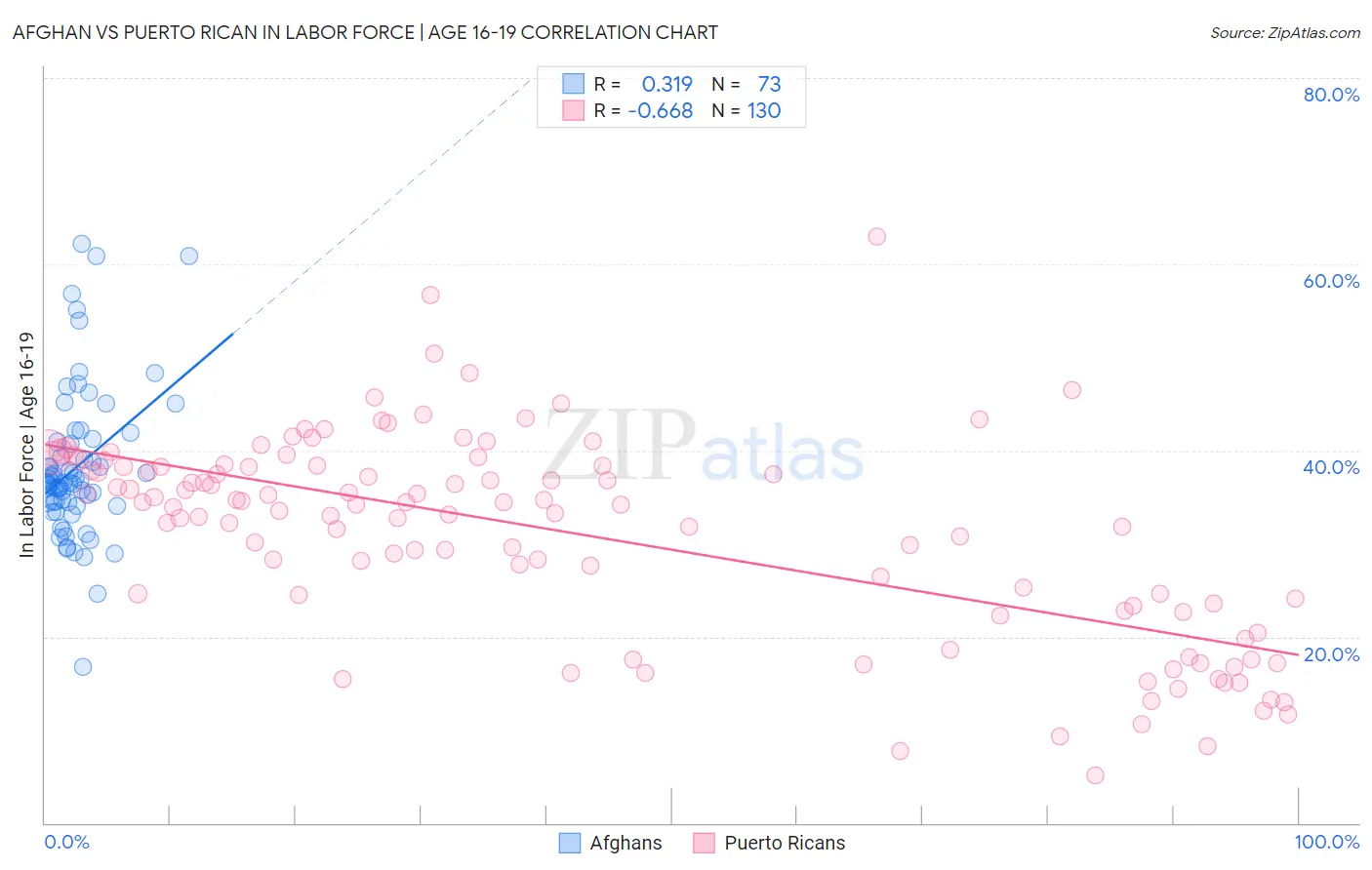 Afghan vs Puerto Rican In Labor Force | Age 16-19