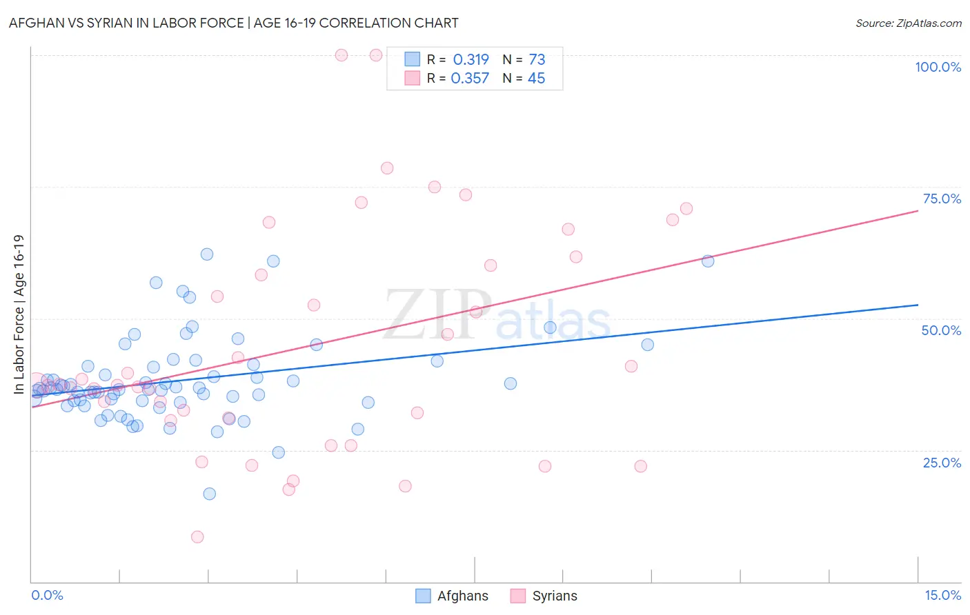 Afghan vs Syrian In Labor Force | Age 16-19