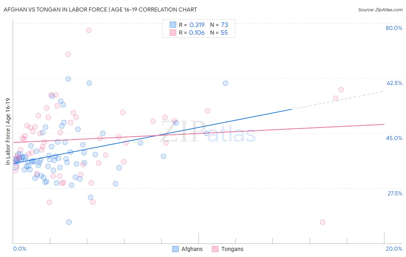 Afghan vs Tongan In Labor Force | Age 16-19