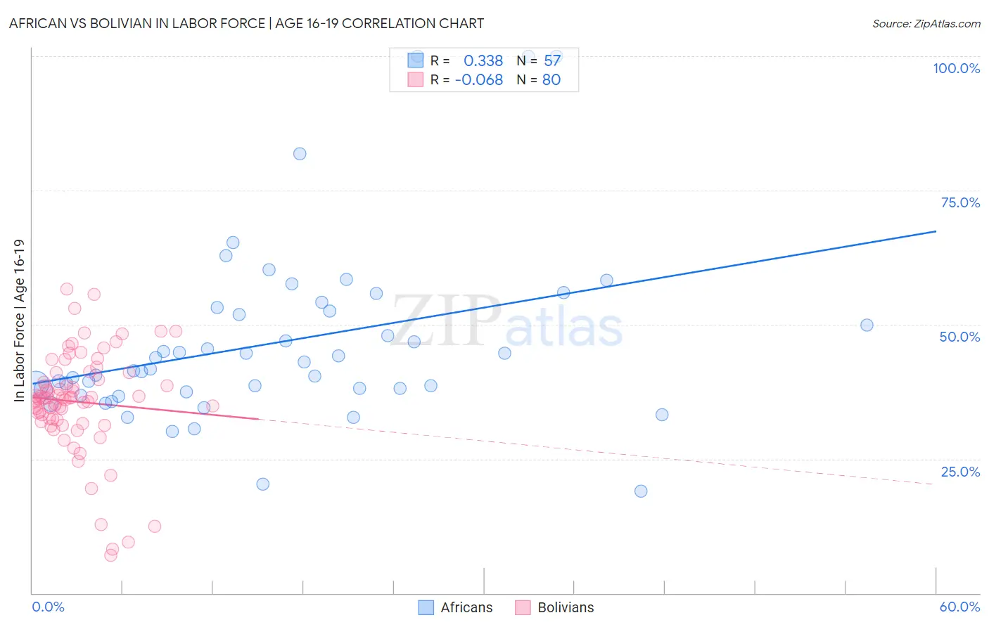 African vs Bolivian In Labor Force | Age 16-19